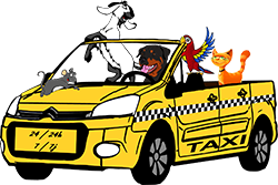 Taxi Animalier 77
